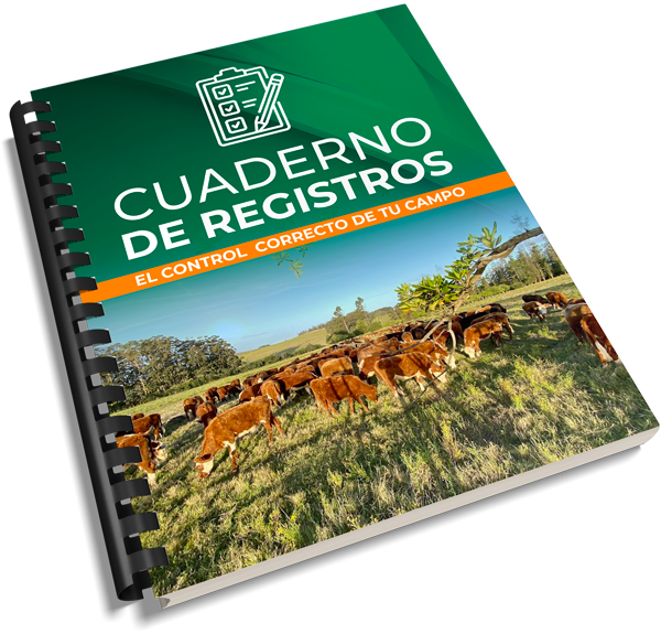 Cuaderno-de-registros